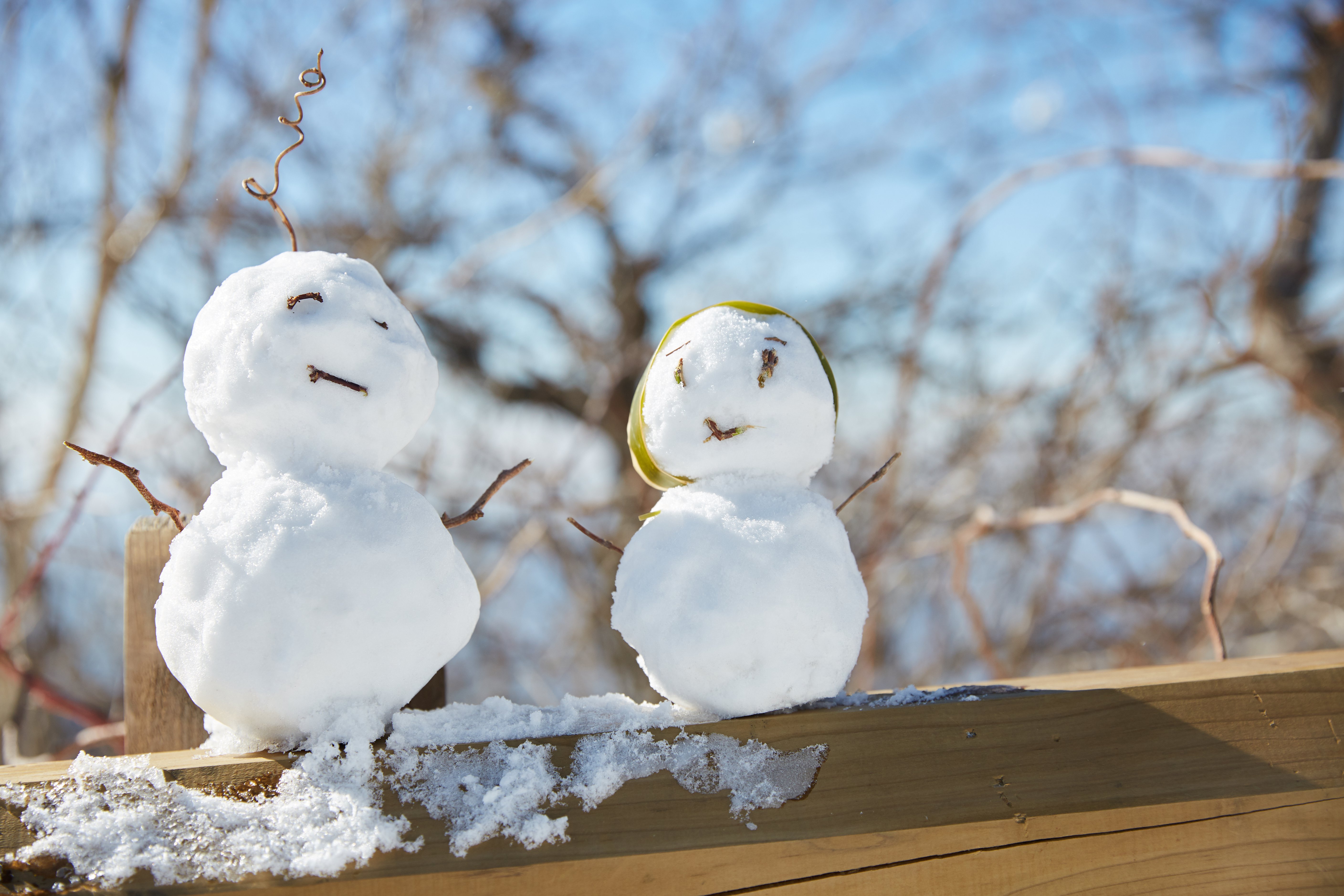 冬至，暖“杨”相伴 | 利来国际app人全力配合各墓园冬至落葬