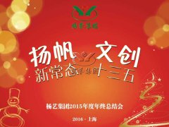 年终会：记2015年终总结大会暨2016年计划会议