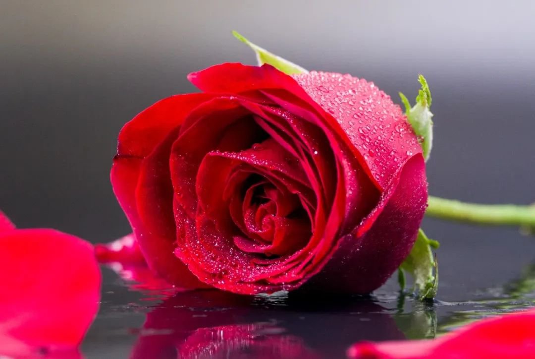 女神节 | 致敬“她”力量，共筑美好未来