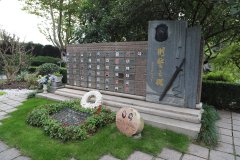 致敬“平安卫士”，铭记“刑警之魂”