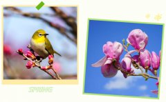 春启利来国际app