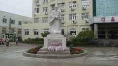 石雕匠心，镌刻医者风华